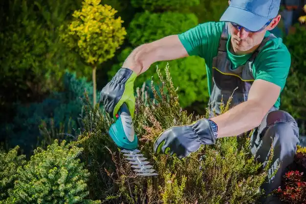 landscaping services Bastrop